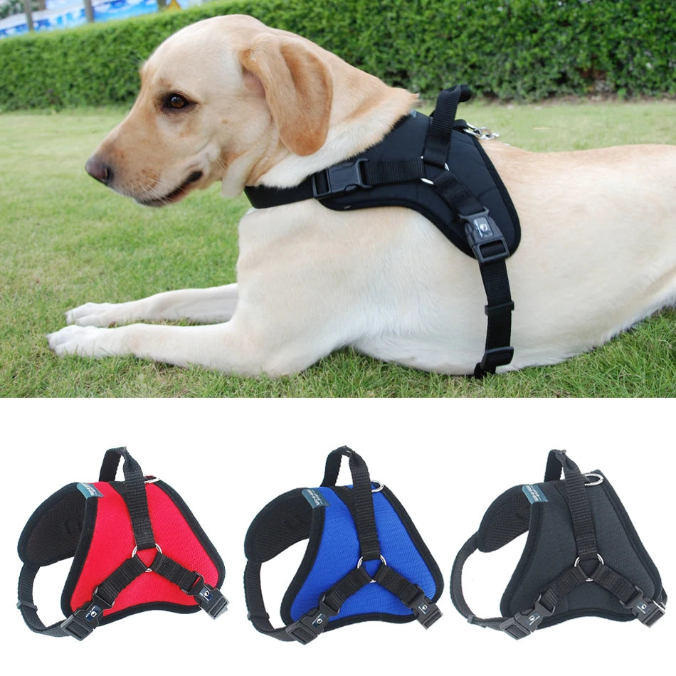 Heavy Duty Nylon Dog Harness