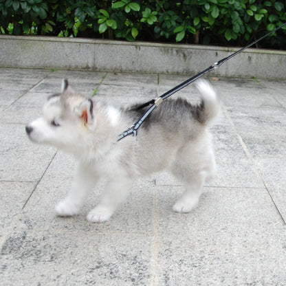 Harness With Adjustable Clip