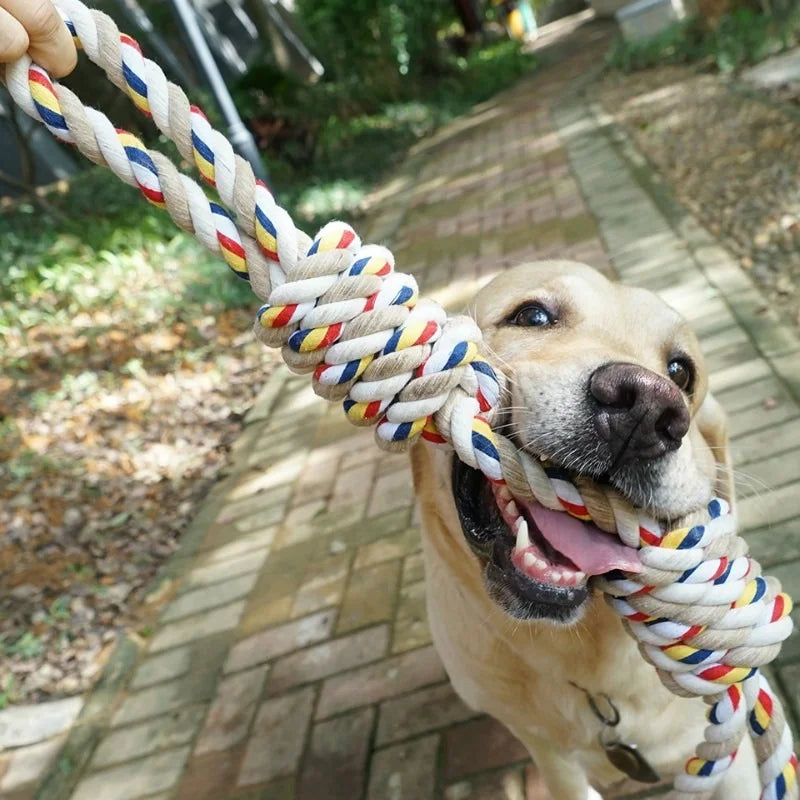 Dog Rope