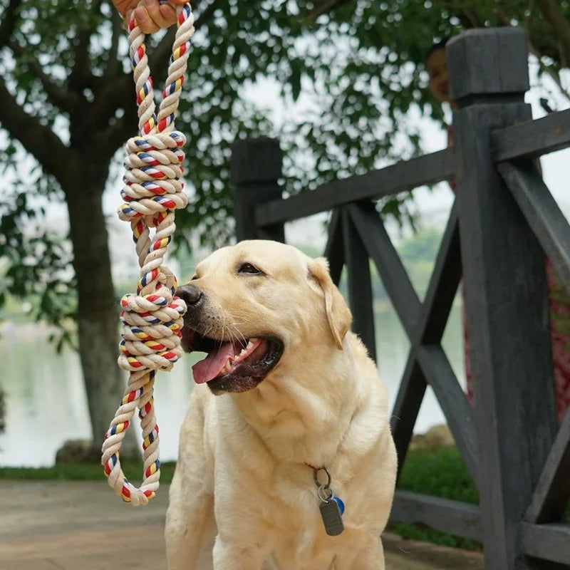 Dog Rope