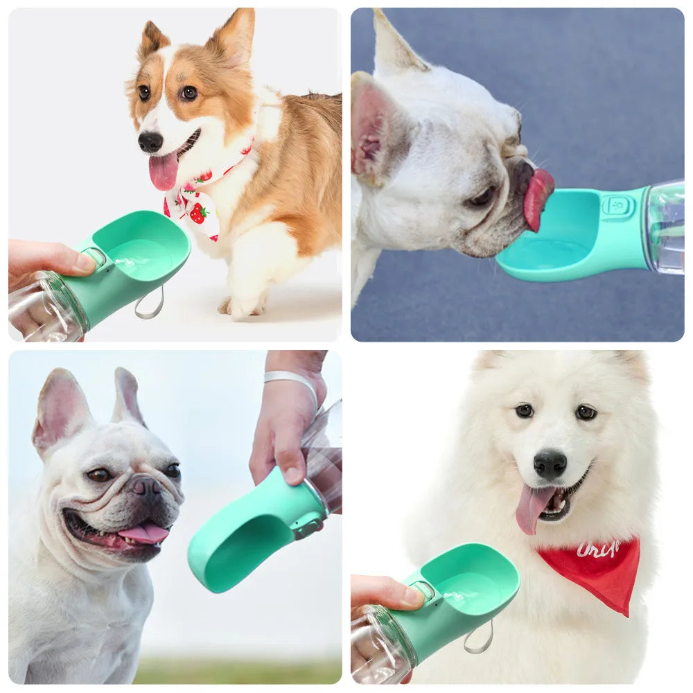 Portable Dog Bottle