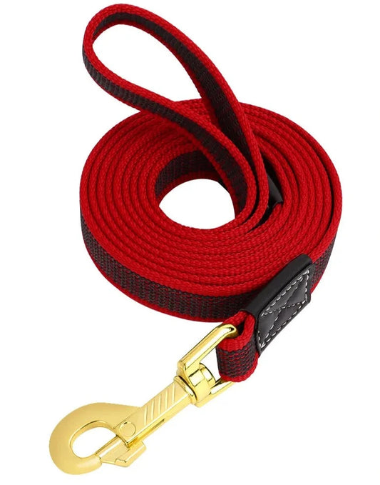 2m Long Dog Leash